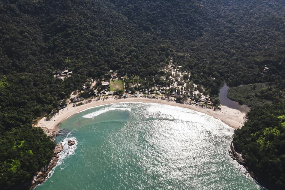 Vista aérea de faixa de praia cercada por mata